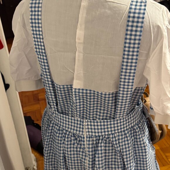 Plus Size Wizard Os Dress, Wig and Bag - Picture 5 of 7